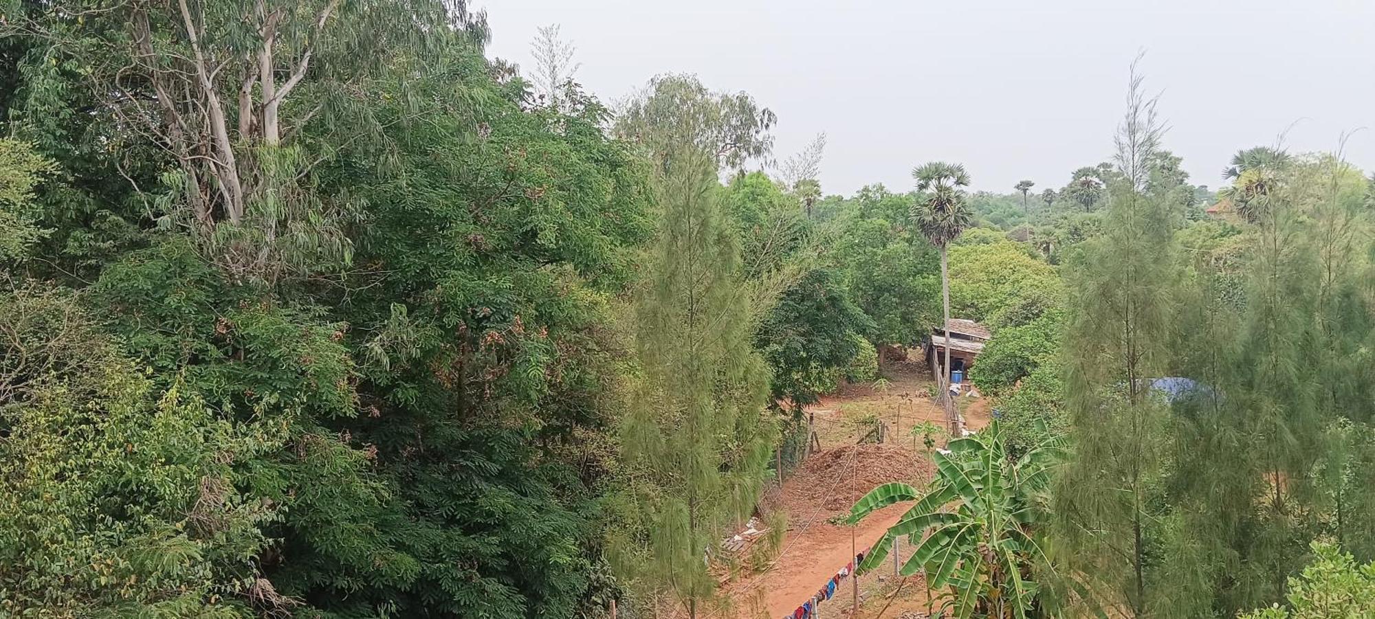 Travellers Crib Hotel Auroville Luaran gambar