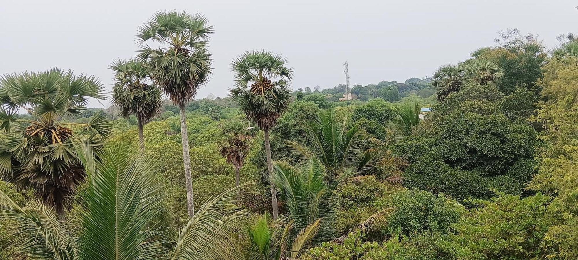 Travellers Crib Hotel Auroville Luaran gambar