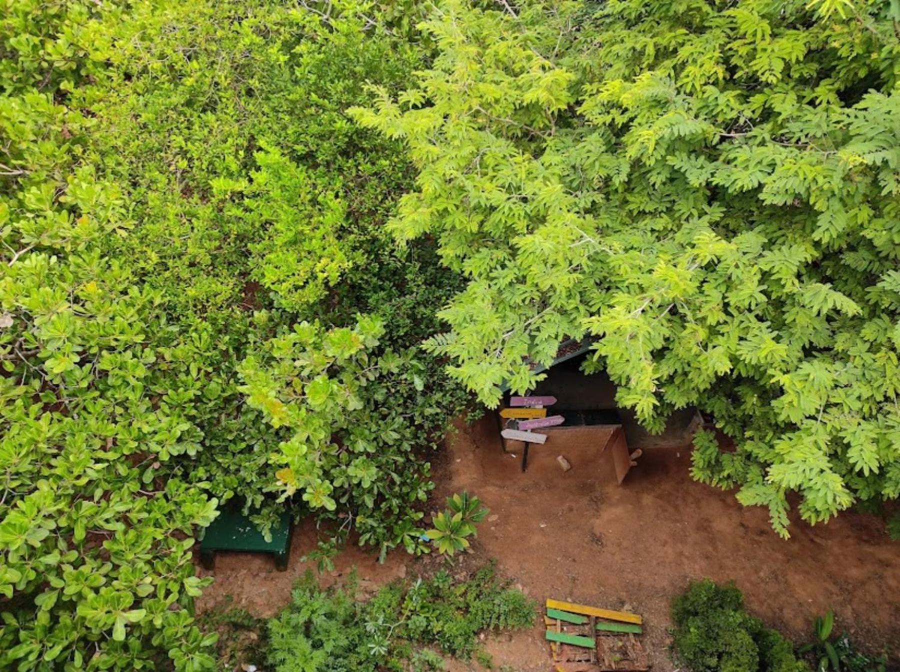 Travellers Crib Hotel Auroville Luaran gambar