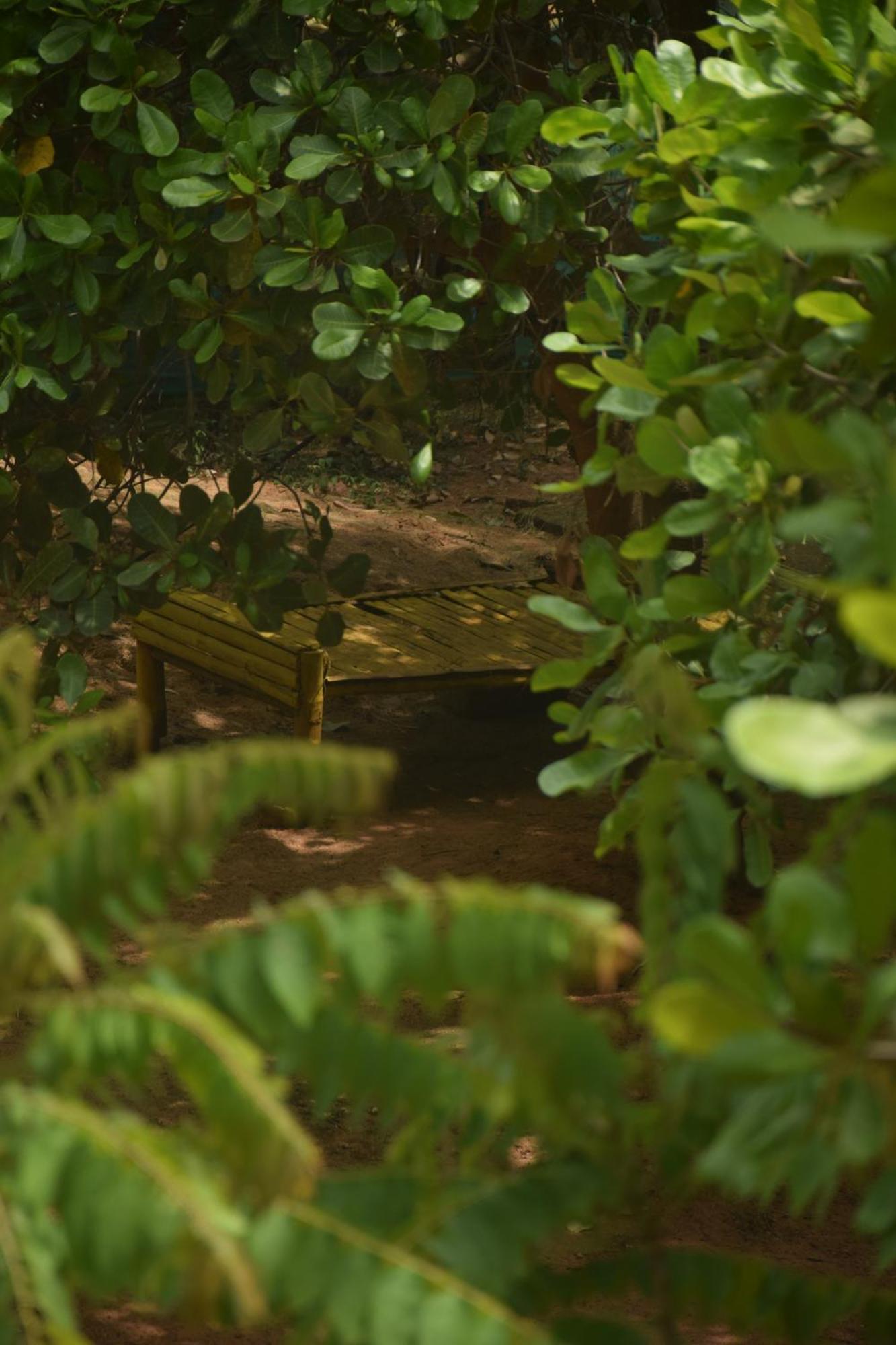 Travellers Crib Hotel Auroville Luaran gambar