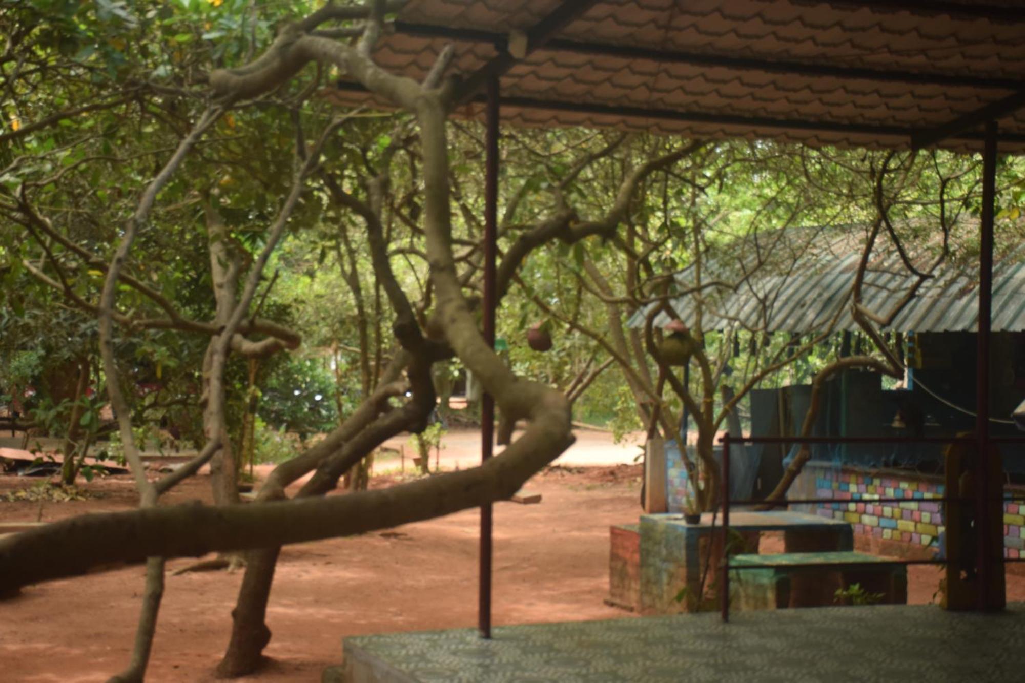 Travellers Crib Hotel Auroville Luaran gambar