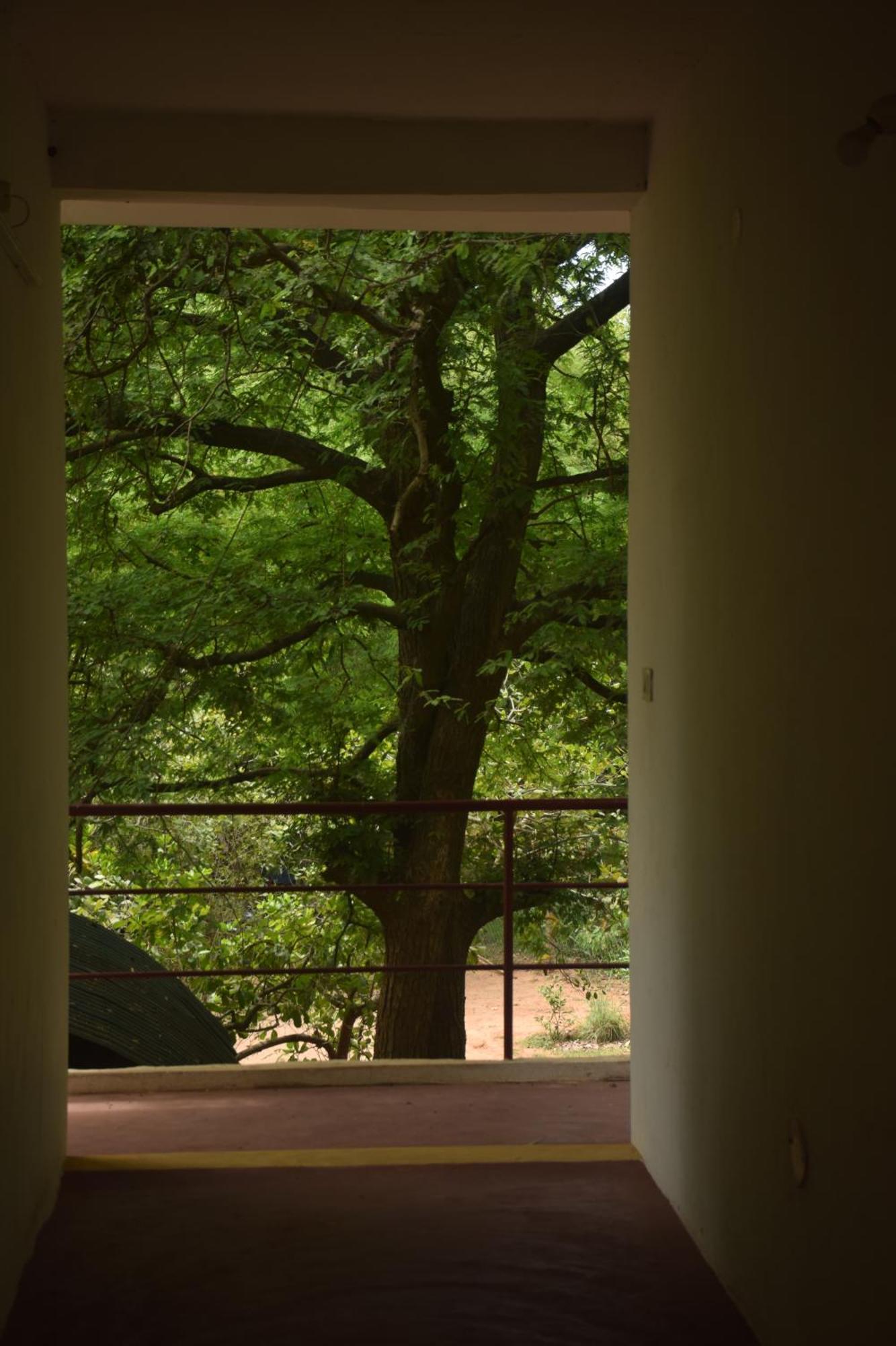 Travellers Crib Hotel Auroville Luaran gambar